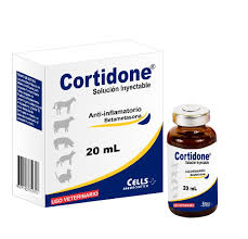 Cortidone